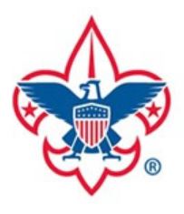 boy scouts of america